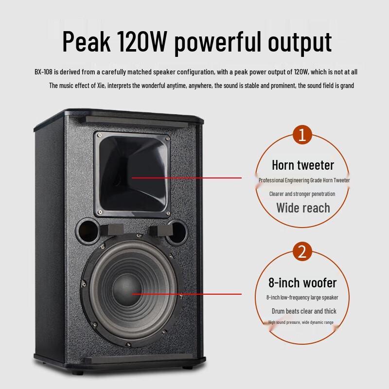 SHILE AV108 Conference Audio System Set