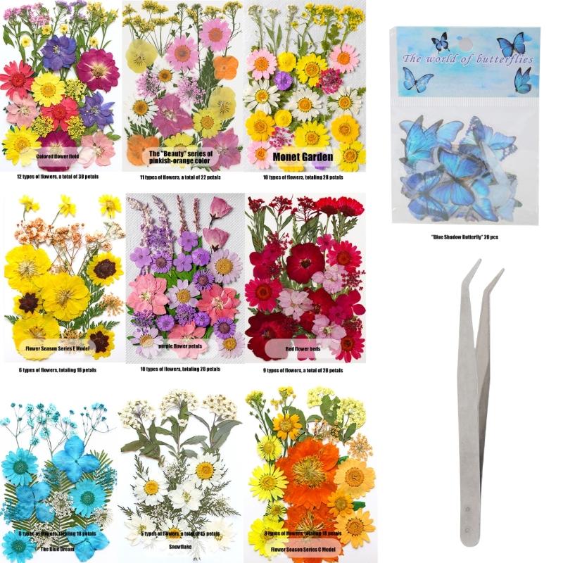 205Pcs Pressed Dried Flower For Resin Natural Dry Flower Leaf with Tweezers Sticker for Art Craft Candle Jewelry Making