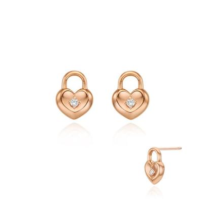 Silver Earrings Sc1630