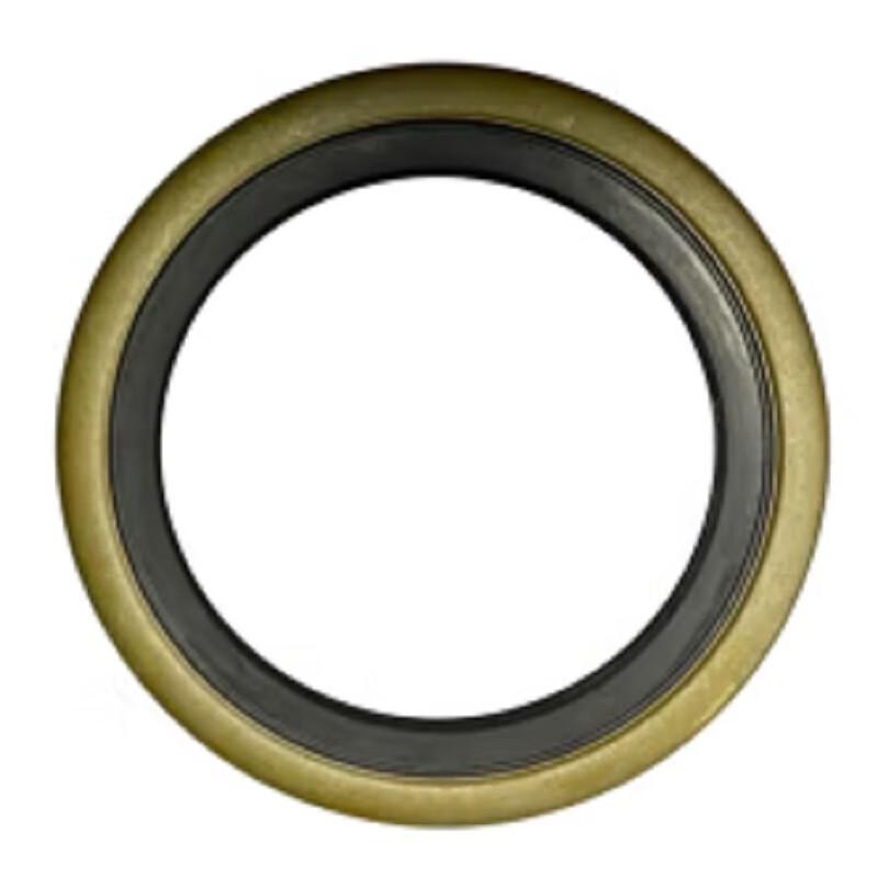 Transmission Oil Seal for Nanjing Iveco