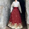 Chiński styl dynastii Ming Drukowany Hanfu spódnica koński pysk Hanfu damski strój do codziennych dojazdów