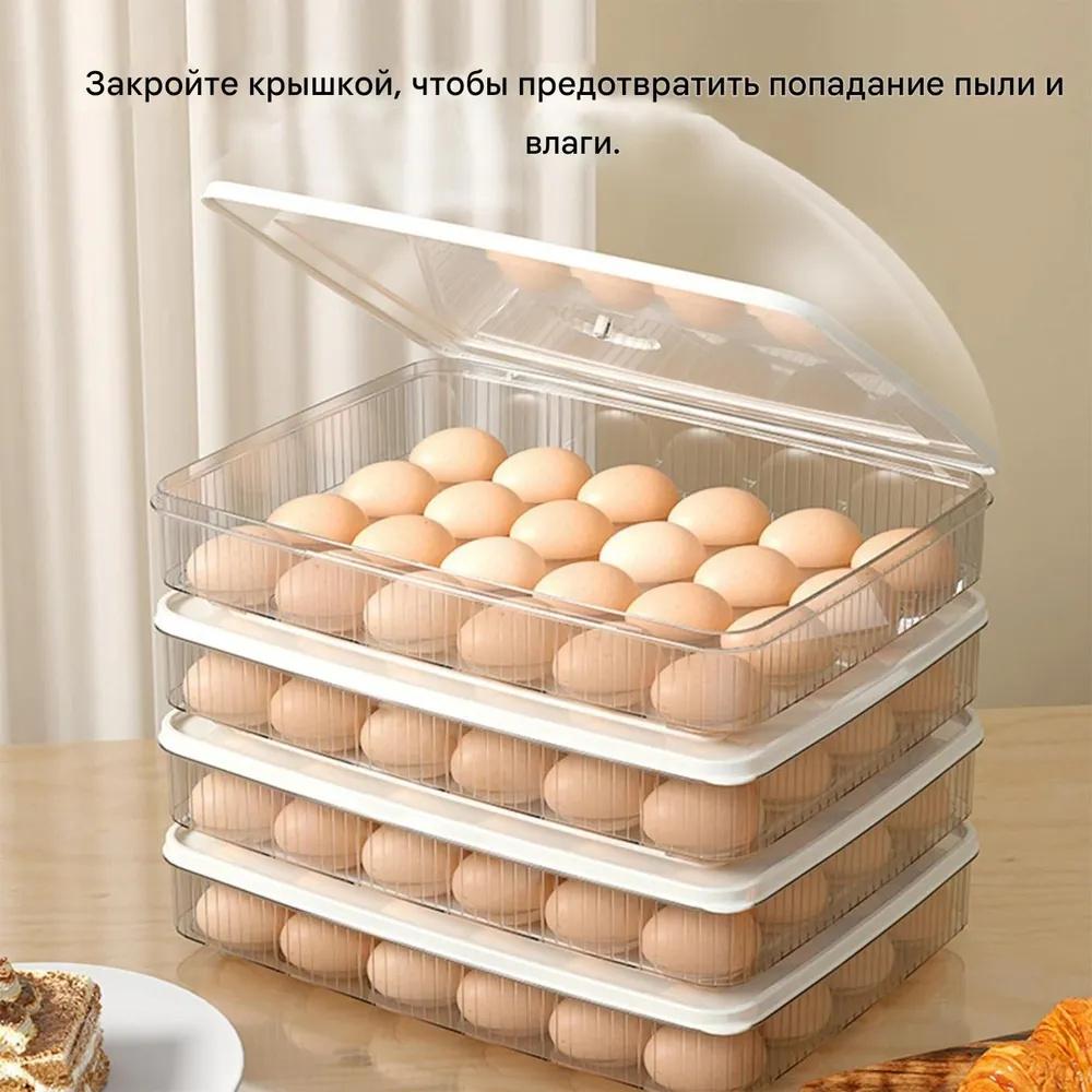 Egg Storage Box For Refrigerator, Food Grade, For Preservation.