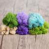 Decoration Christmas Flower Artificial Plant Reindeer Moss Eternal Life Moss Micro Landscape