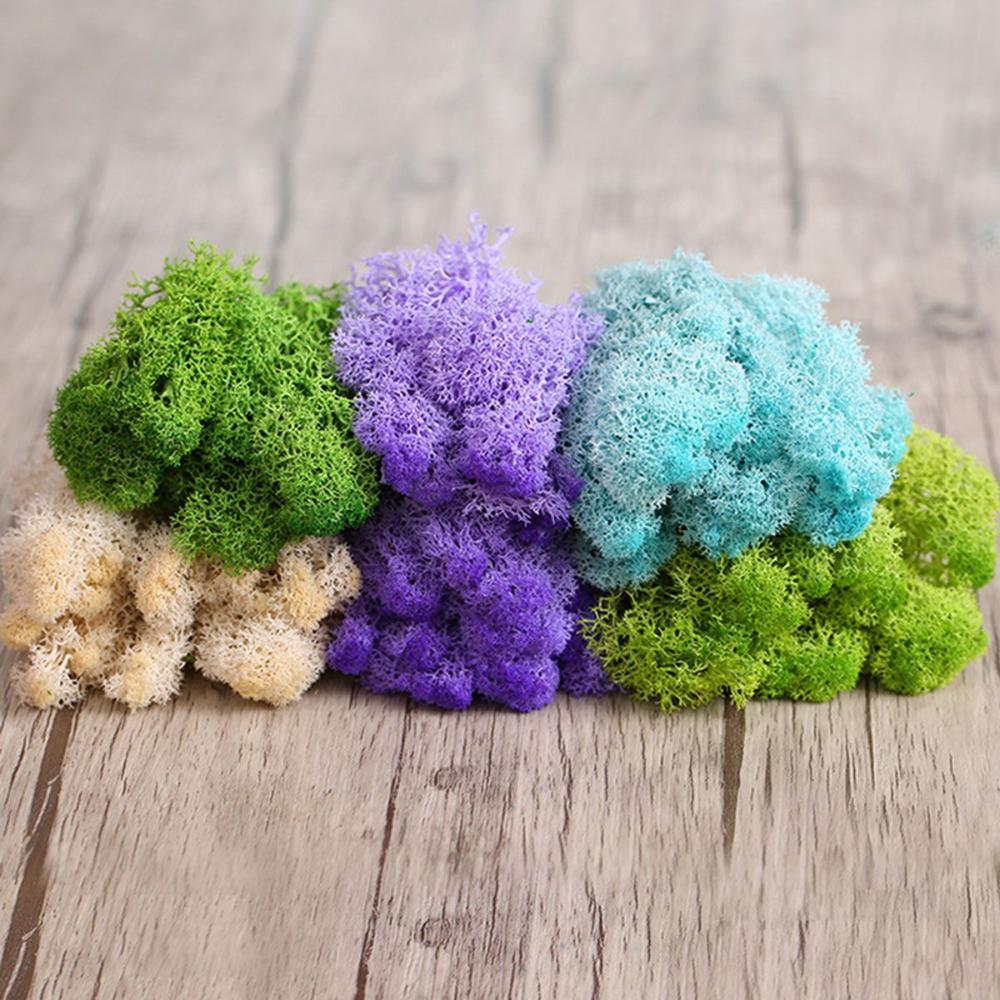 Decor Wedding Christmas Decoration Micro Landscape Artificial Plant Eternal Life Moss Reindeer Moss
