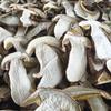 Yunnan Specialty Dried Boletus Slices - Fresh and Delicious Raw Ingredients