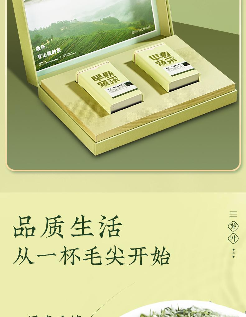 Jieying Green Tea Mingqian Xinyang Maojian Green Tea Gaoshantou Spring Tea Collection Gift Box 250g