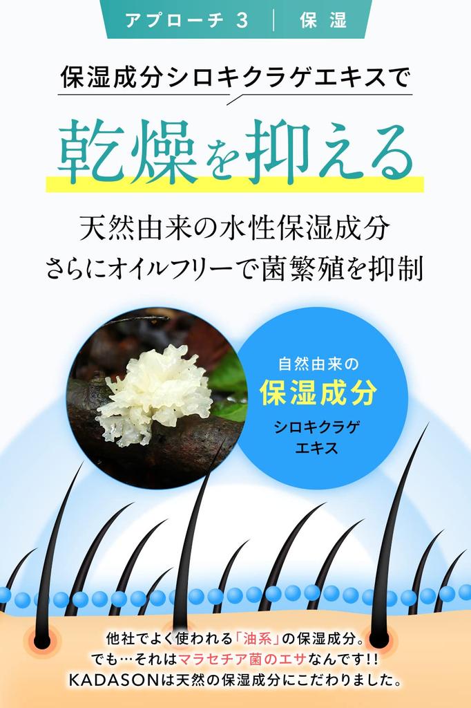KADASON Hodebunnssjampo Sett med 2 stk hver Seboré Oljete Hud Medisinsk Sjampo Naturlig Utvunnede Ingredienser i [Kvasimedisin] (250ml / Hud) (Laget Japan)