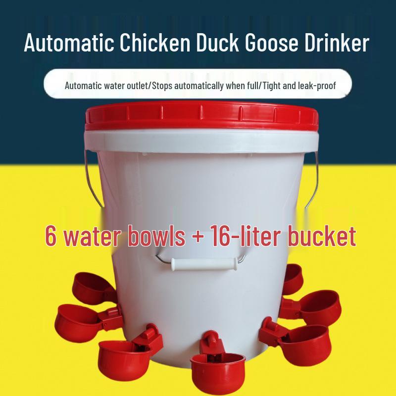 Mangeoire Automatique pour Volailles : Poulets, Canards, Oies et Pigeons