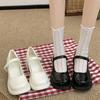 White French retro thick heel heightened small leather shoes women's 2025 new autumn skirt light mouth Mary Jane single shoes