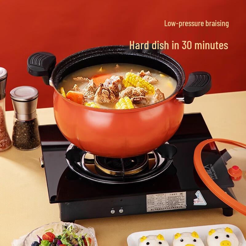 NORTON 26cm Fine Iron Maifan Stone Non-stick Micro-Pressure Soup Pot