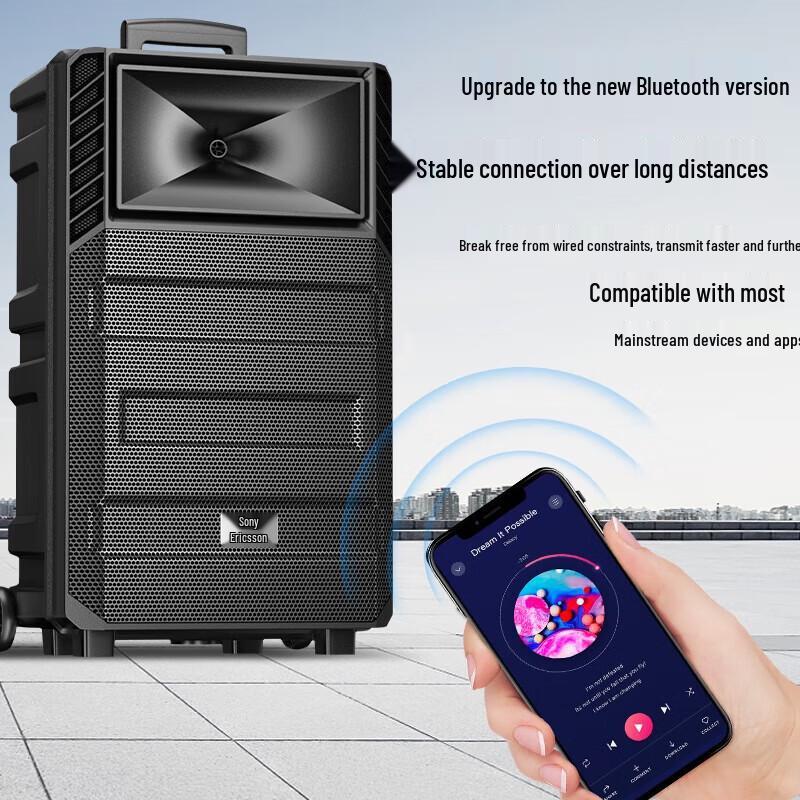 Soaiy SA-T20 12-inch Portable Bluetooth KTV Speaker