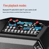 Aigo T52 Portable Outdoor KTV Bluetooth Speaker CN plug (adapter included)