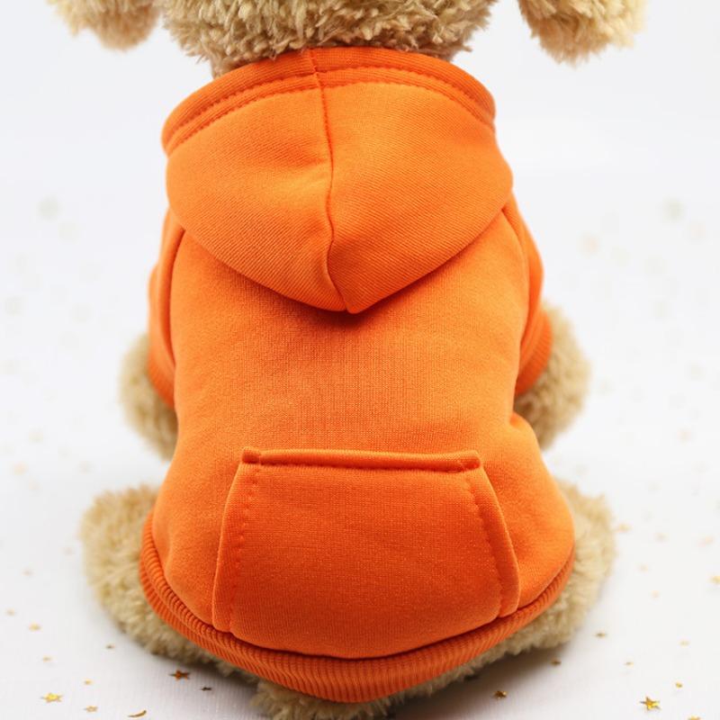 Autumn and Winter Cat Two-legged HoodiesPocket Dog Clothes Sporty Dog and Cat Pet Clothing Supplies and Accessories