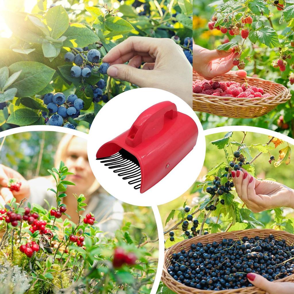 Berry Picker with Handle Pick-up Tools Berry Picker Rust Proof Fruit Harvester Blueberry Rake Ergonomic Handle