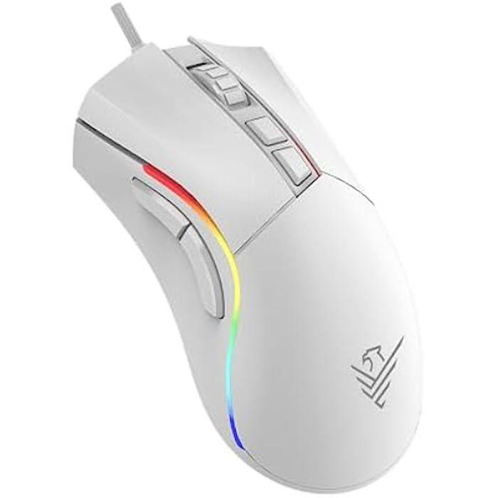 Souris de jeu - Phoenix Void - Ergonomique - 12000 DPI - Câble Huano