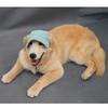 Cute Pet Baseball Cap Ear Hole Design Outdoor Sun Hat Dog Visor Cap for Golden Retriever Labrador Big Dogs Walking Travel Pet Accessories