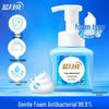 Blue Moon Foaming Antibacterial Hand Wash