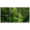 Three Piece Picture Canvas Print Green Forest Leaves