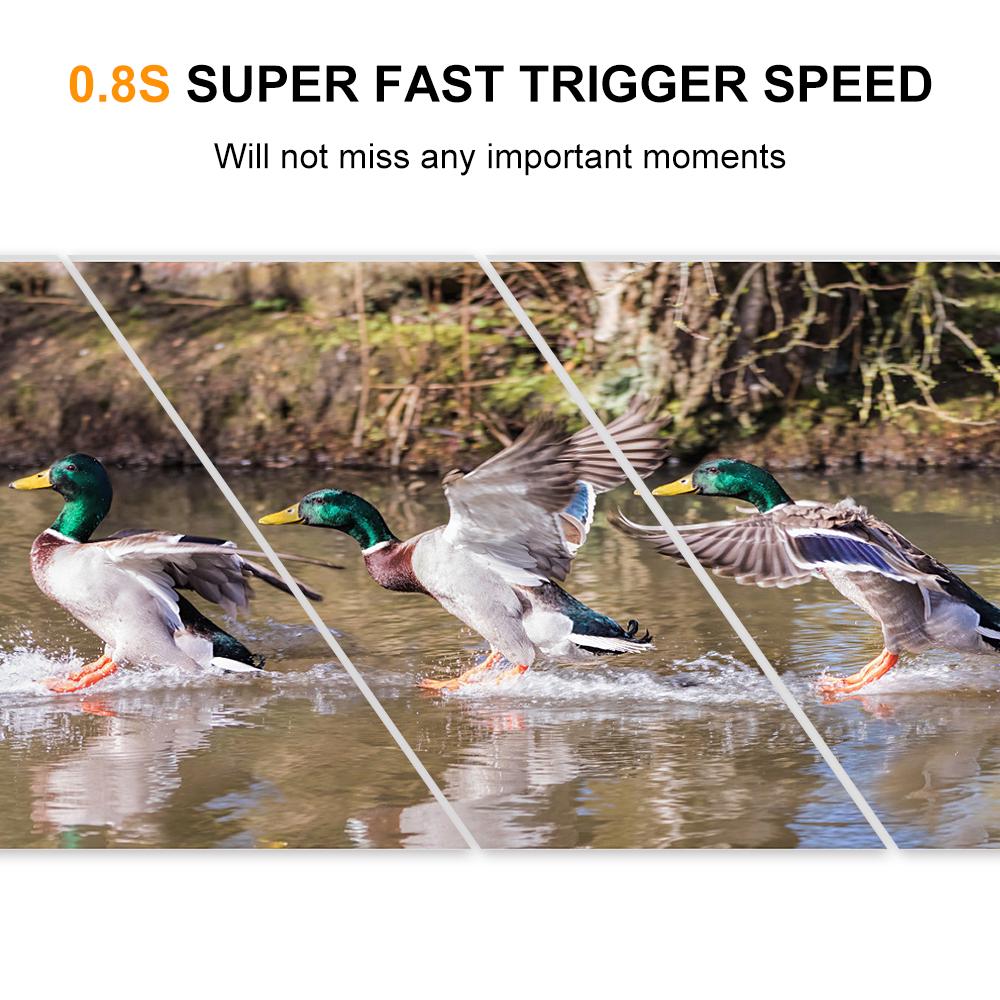 5MP 480P Wildkamera mit Bewegungserkennung, Jagdkamera für den Außenbereich, Wildlife Scouting Kamera 46