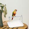 Tabletop Bird Perch Portable Desktop Parrot Training Perch Cage Accessories for Macaw Finch Parakeet Pet Supplies