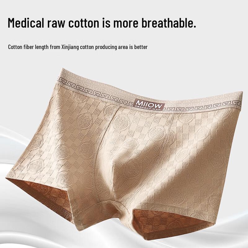 MaoRen Men's A-Grade 10A Antibacterial Jacquard Cotton Boxer Briefs