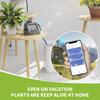WIFI Intelligent Watering Device Double Pump Timed Automatic Drip Irrigation System Remote APP Controller For Garden Terrace