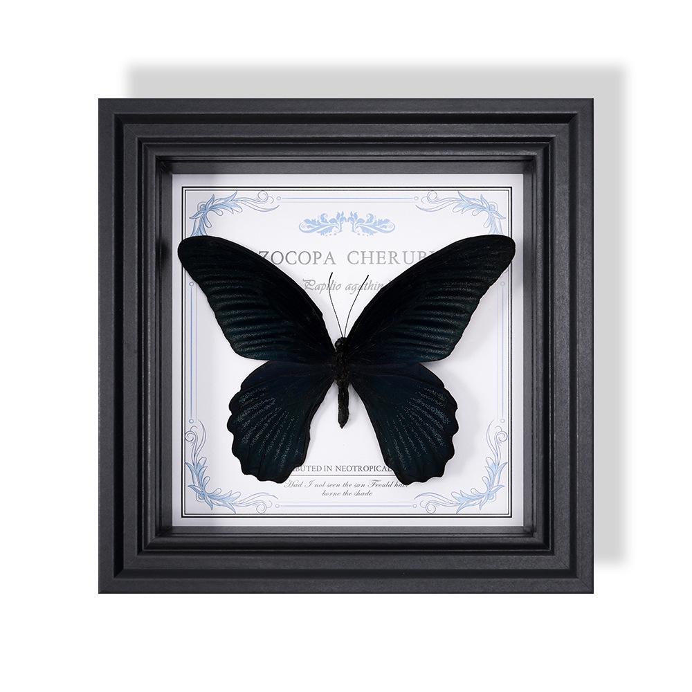 Wall-Mounted Butterfly Specimen Photo Frame: Home Decor & Gift for Valentine's Day, Qixi, Birthday, Couples & Insect Lovers