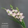 Gladiolus Floral Wedding Vase Arrangement