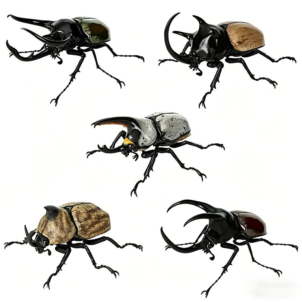 Original Capsule Toys Creature Encyclopedia: Beetles 10 Movable Joints Insects Miniature Model Assembly Collection Gacha Figures