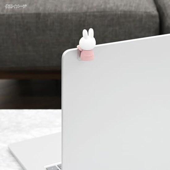 Gourmandise Miffy Hyottomo