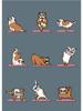 Modern Funny Cute Bulldog Cat Panda Yoga Gesture Poster And Print Canvas Painting Animal Nordic Wall Art Nursery Kidroom Decor
