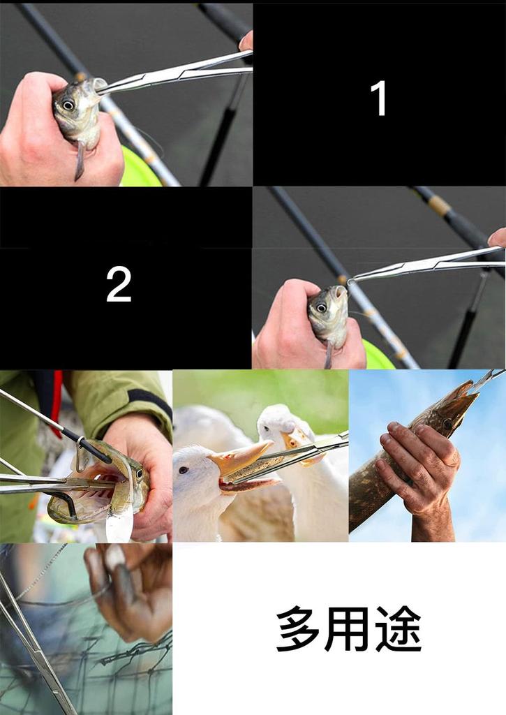 LOYELEY 16cm Long Stainless Steel Forceps for Needle and Pet Ear Durable and Easy to Includes Scissors and Pliers Trimming, Fishing, Removal, Cupping,