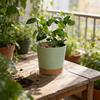 Plastic Flower Pot Tray With Pet Material And Dustproof Design For Garden And Home Use