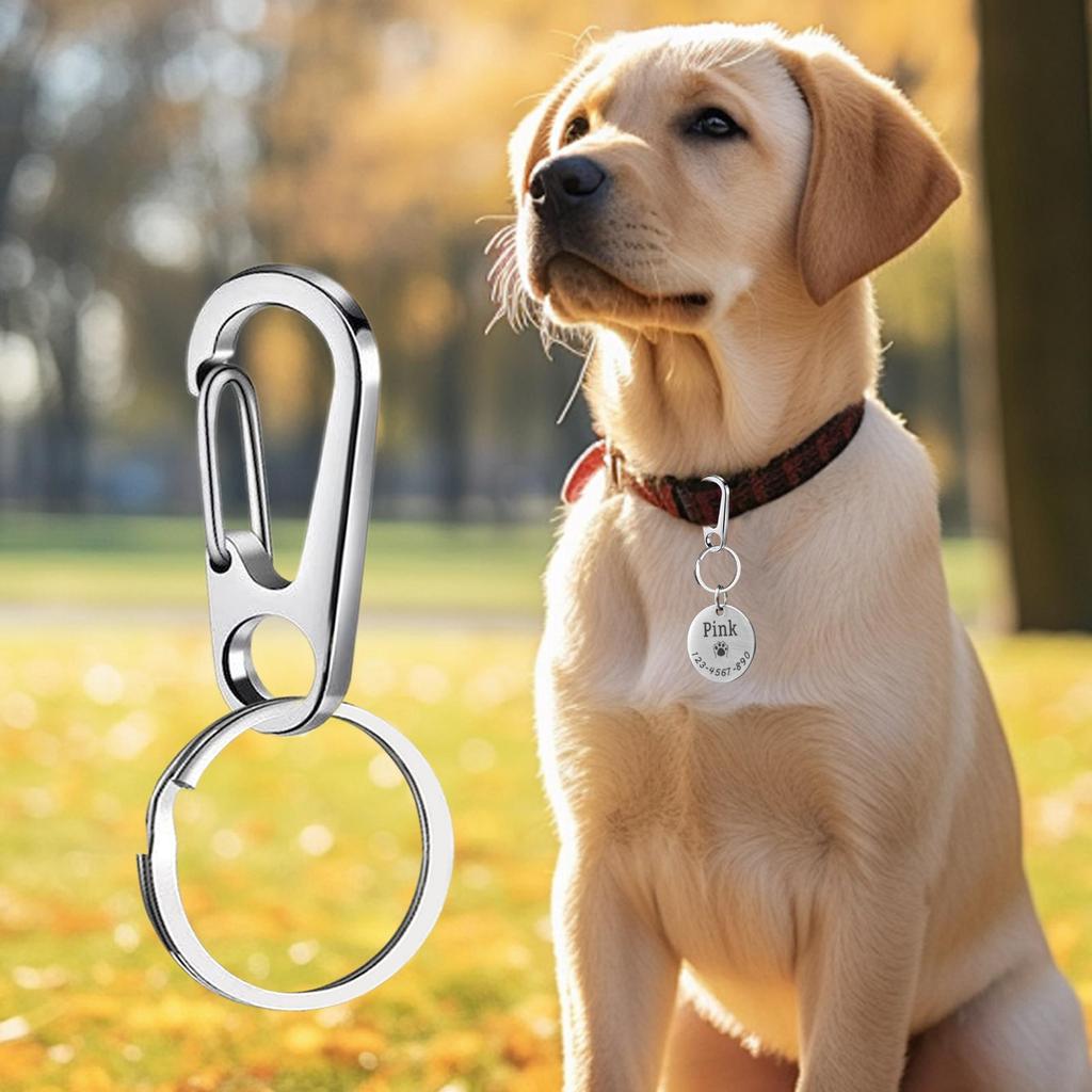 Dog Tag Clip 4-pieces Stainless Steel Quick Clips for Pet Collars Dog Cat Positioning Device Secure Supplies for Outdoor