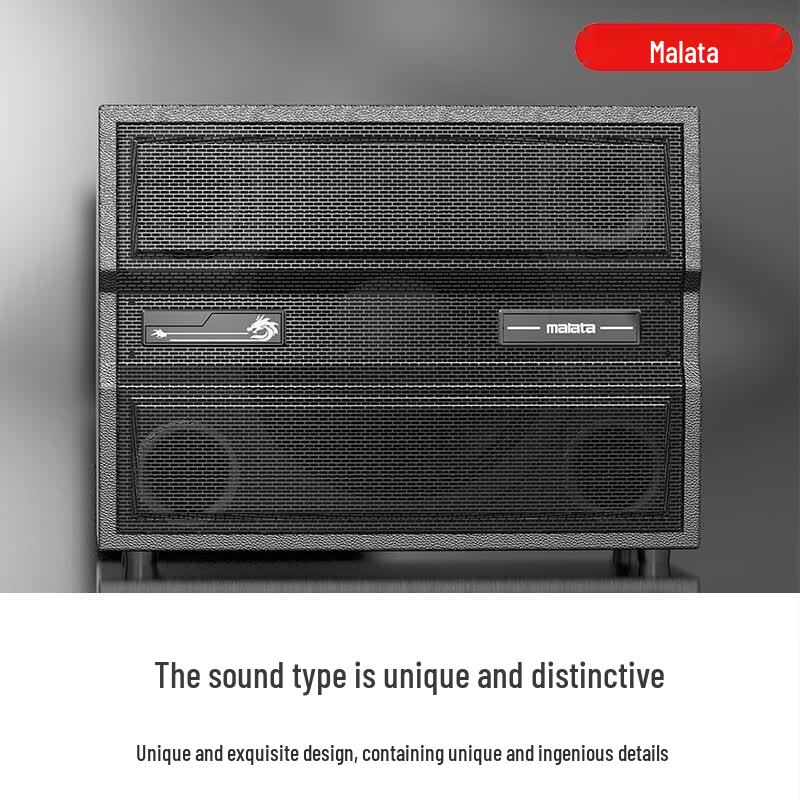 Malata M+9580 Portable High-Power Instrument Speaker (CN Version)