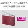 Sony FM/AM Handy Portable Radio, White, ICF-51/W
