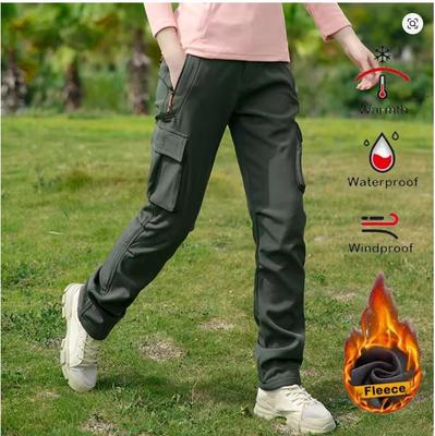 Thick Warm Fleece Winter Pants Women Waterproof Hiking Trekking Camping Skiing Soft Shell Pants Outdoor Windproof Trousers