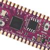 for Ra i Board Dual   264KB ARM Cortex M0+Processor Flexible  controller Board with  2 2  Load  L Adapter