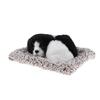 Adorable Stuffed Kid Toy Animal Dog Pet Model Home & decor - Border Collie