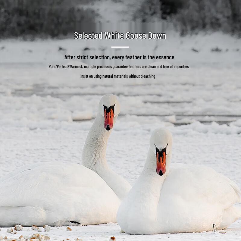 TTC Silent Antibacterial White Goose Down Winter Quilt