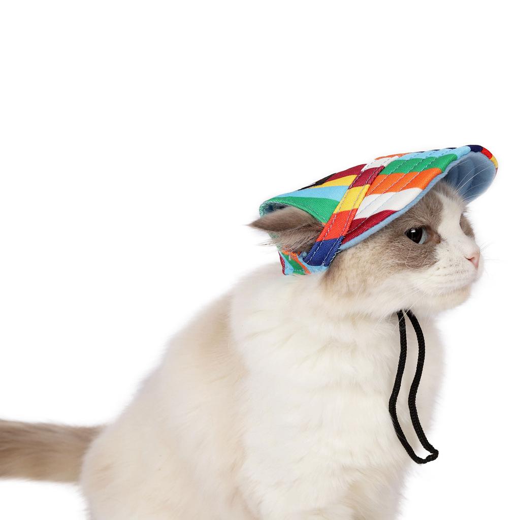 Breathable Dog Hat Baseball Cap Costume Birthday Summer Sunbonnet Accessories Pet Headwear Adjustable Cap for Cosplay