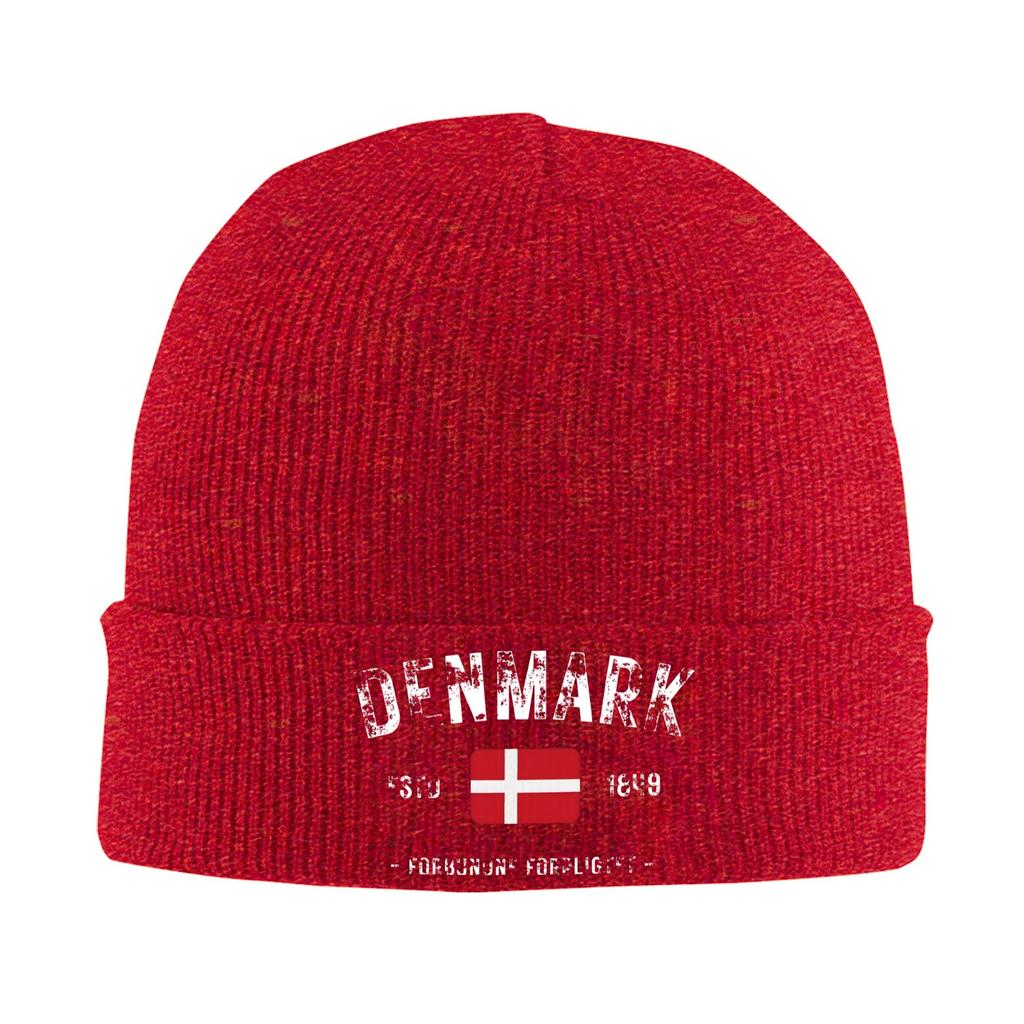 Denmark Estd 1849 Knitting Hat Beanie Hats Outdoor Sport Thermal Elastic Adult Unisex Bonnet Hats Winter Funny Caps Gift Idea