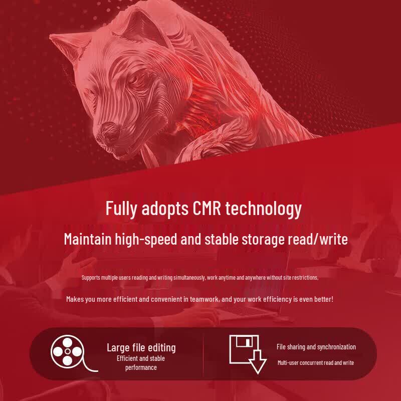 Seagate IronWolf 3.5-inch NAS Hard Drive