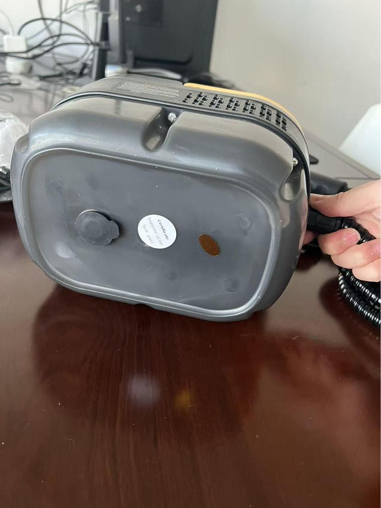 European Standard 220V High-Temp, High-Pressure Steam Cleaner