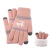 New Jacquard Double-layer Deer Touch Screen Gloves Autumn and Winter Women's Fleece Thickened Warm Wool Gloves