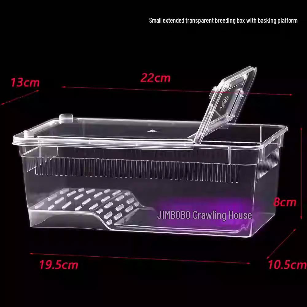 Reptile Habitat Tank for Silkworms, Spiders, Frogs, Snakes, Lizards, Snails, Insects, and Turtles