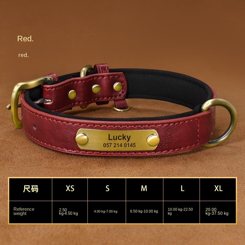 Personalized Custom Dog Collar with Engraved Lettering and Anti Loss Leather Collar