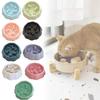 Pet Care Slow Eating Bowl For Small Dogs And Cats With Durable Pp Material