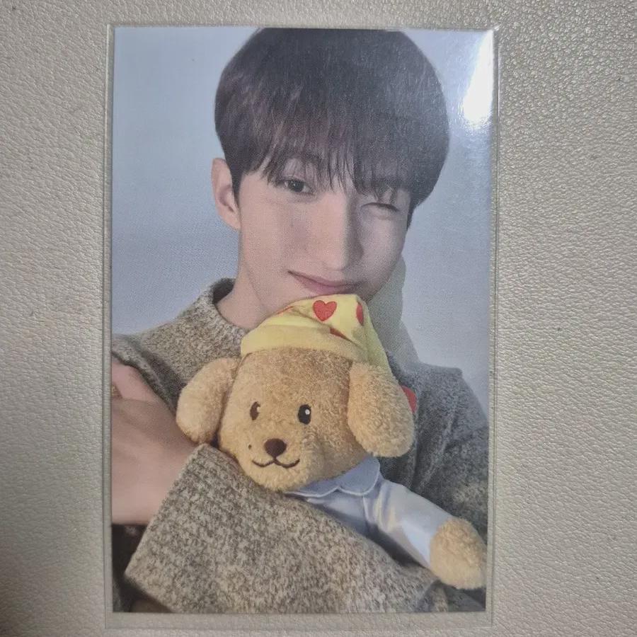 

Seventeen Авторская фотокарточка Dk