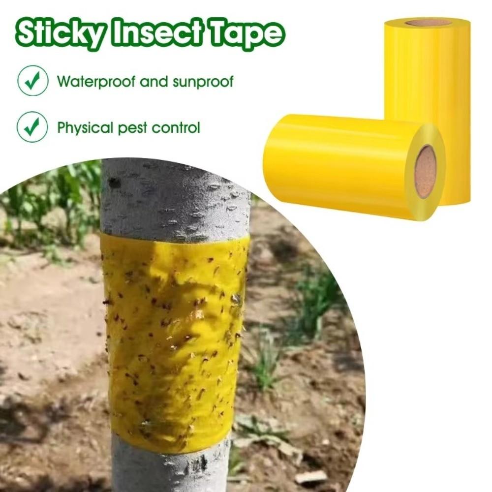 5/10M Outdoor Insect Trap Double-sided Crawling Insect Trap Fruit Fly Traps  Gnats Prevention